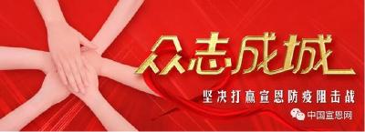 内科护士杨娅的战“疫”手记