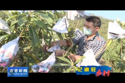 《记者驻乡村》不负好春光 田间春管忙