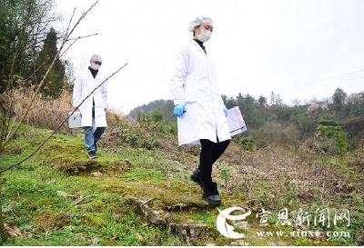 52天4000公里，村医夫妇抗“疫”记