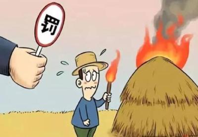 我县严惩露天非法焚烧秸秆行为