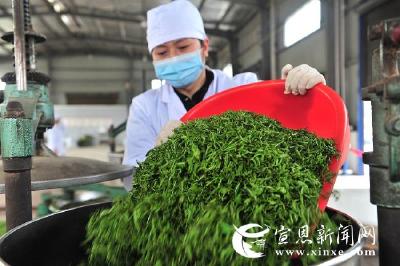  宣恩复工复产按下“快车键”