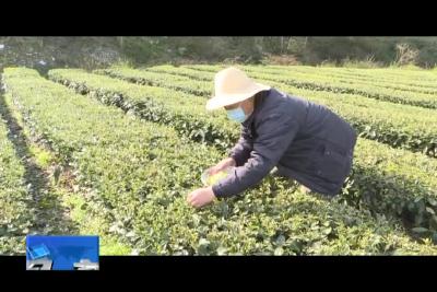 防疫生产两手抓 企业复工复产忙