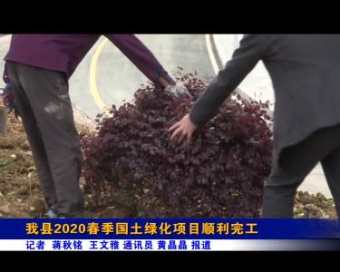 我县2020春季国土绿化项目顺利完工