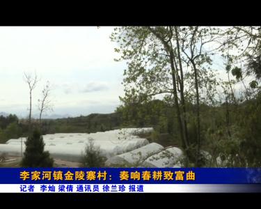 《记者驻乡村》李家河金陵寨村：奏响春耕致富曲