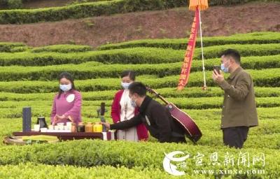 直播售黑茶 带货1230单