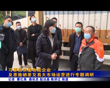 习覃就快递物流企业及恩施硒茶交易大市场运营进行专题调研