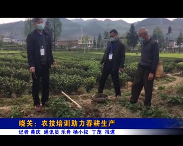 晓关：农技培训助力春耕生产