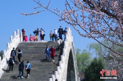 憋坏了！五一机票酒店预订暴涨，报复性旅游要来？