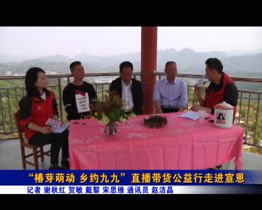 “椿芽萌动 乡约九九”直播带货公益行走进宣恩