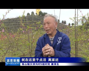 家庭农场成为乡村旅游新热点