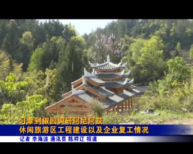 习覃到椒园调研阿尼阿兹休闲旅游区工程建设以及企业复工情况