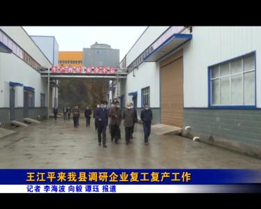 王江平来我县调研企业复工复产工作