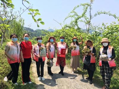 ​“椿芽萌动 乡约九九”直播带货公益行动走进宣恩