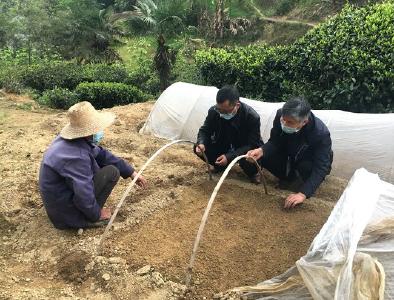 ​农技专家送技到田间