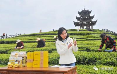 【直播预告】今日下午，宣恩县长习覃直播“带货”伍家台贡茶、富硒慢土豆······
