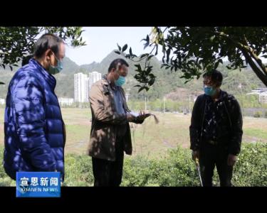 珠山镇：“四到位”筑牢森林“防火墙”