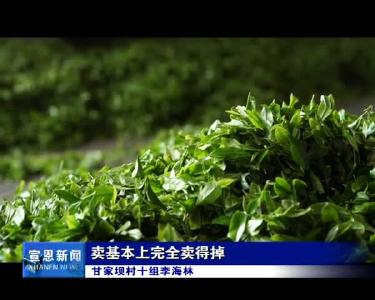 茶企复工生产忙