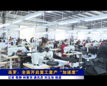 《记者驻乡村》高罗：全面开启复工复产“加速度”