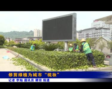 修剪绿植为城市“梳妆”
