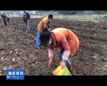 晓关：抢抓农时春耕忙
