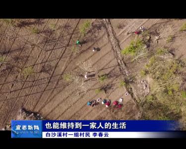 中药材产销专业合作社引领村民走向致富路