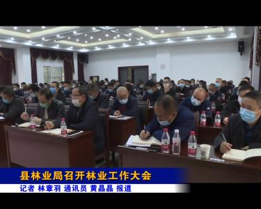 县林业局召开林业工作大会