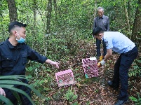 宣恩县林业局对查获的野生鸟类活体进行野外放生