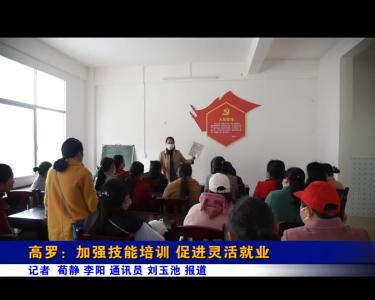高罗：加强技能培训 促进灵活就业