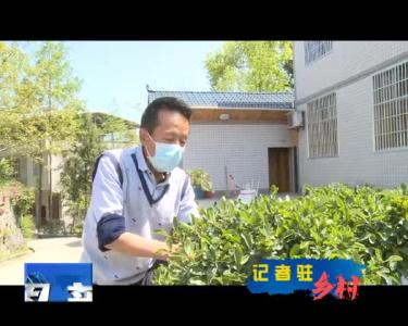  《记者驻乡村》当阳坪村：文明之花扮靓富美乡村 夯实基础激发发展动力