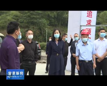 习覃现场办公为重点项目建设解难纾困