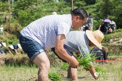 ​千丘田里品农事 种出美好幸福苗