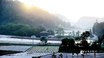 甘竹坪村：乡村田园新景致