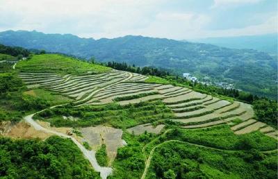 ​生态产业齐并进 美丽乡村显雏形