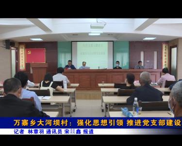 万寨乡大河坝村：强化思想引领 推进党支部建设