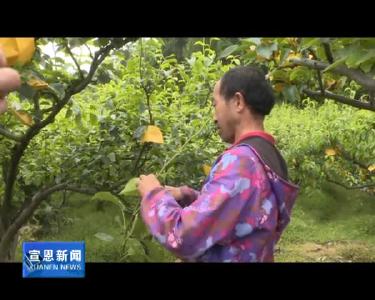 沙道沟镇茶园村：参观学习添动力 交流借鉴促发展