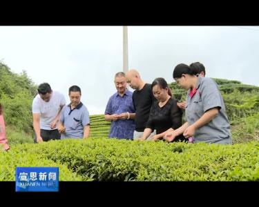 茶专家“零距离”培训 助力黑茶品质“提档升级”