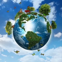 鄂州市林业局建立五项机制加强生态环境和资源 保护工作