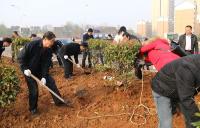 鄂州市审计局开展春季义务植树活动