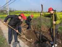 鄂州广播电视台到驻点村开展义务植树活动