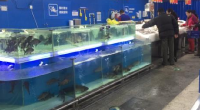 北京市食药监局：网传水体污染致北京淡水鱼下架不可信