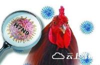 市卫计委“六强化”密织H7N9疫情防控网