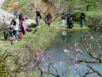 “花经济”火了乡村游