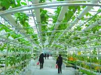 鄂州一季度预计实现农业增加值21.8亿元