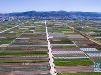 云南通海：春日田园美