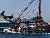 中越海警今年首次海上联合检查结束