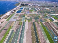 云南通海：春日田园美