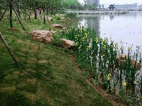 简直不要太美！鄂州的湿地公园你期待吗？