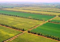 鄂州市农发办开展高标准农田项目建设专项督查