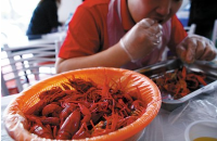 专项检查小龙虾食品安全