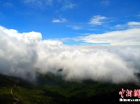 神农架现云海奇观 引众多游客欣赏